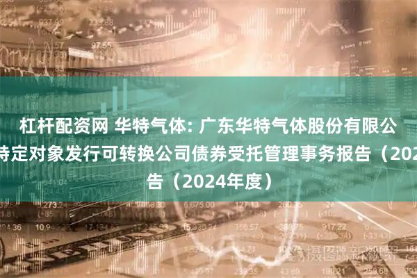 杠杆配资网 华特气体: 广东华特气体股份有限公司向不特定对象发行可转换公司债券受托管理事务报告(2024年度)
