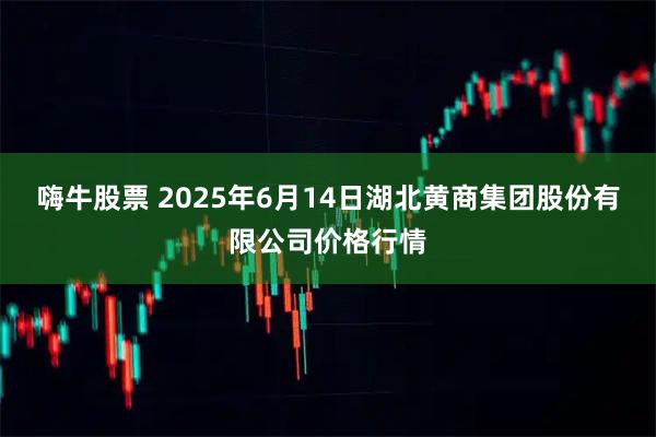 嗨牛股票 2025年6月14日湖北黄商集团股份有限公司价格行情