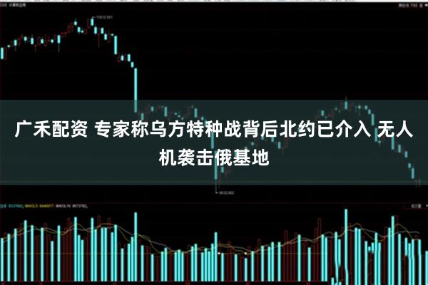 广禾配资 专家称乌方特种战背后北约已介入 无人机袭击俄基地