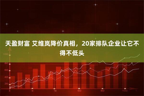 天盈财富 艾维岚降价真相，20家排队企业让它不得不低头